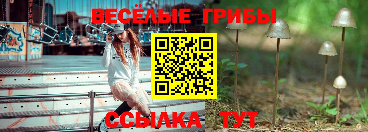 Галлюциногенные грибы Psilocybine cubensis Балахна